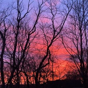 Meet your Posher, Rilynn